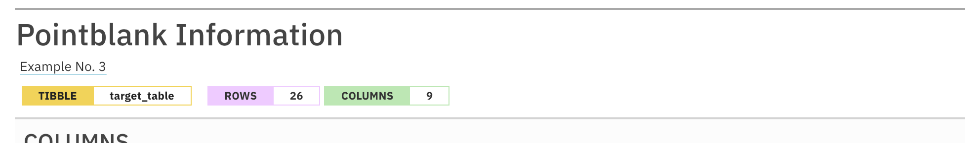 This is a tabular report entitled 'Pointblank Information'. This excerpt presents only the header of the tabular report. The key information about the input table identifies it as a tibble called 'target_table'). Compared to the last figure, the header contains an updated row count of 26 (compared to 13 previously).